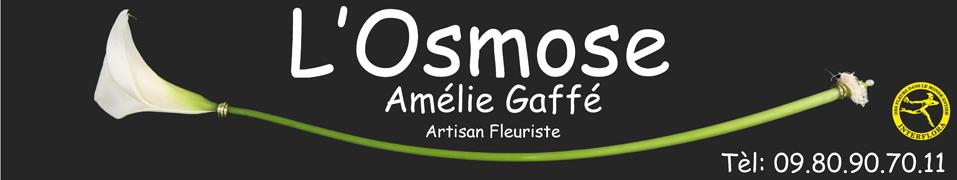 Osmose